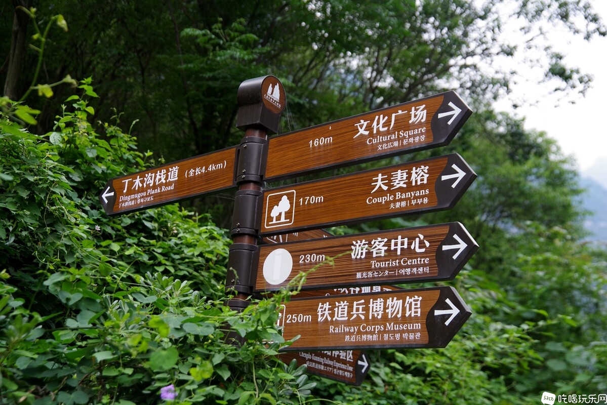 IMGP7641_副本.jpg