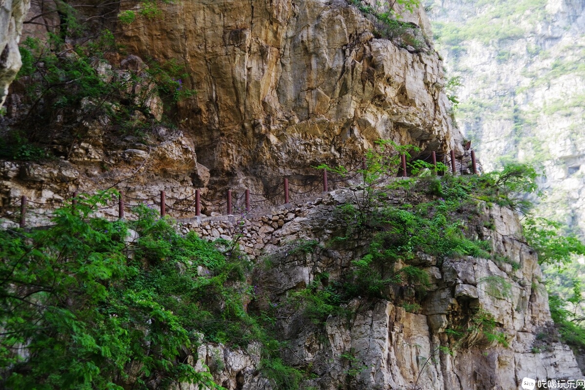 IMGP7732_副本.jpg