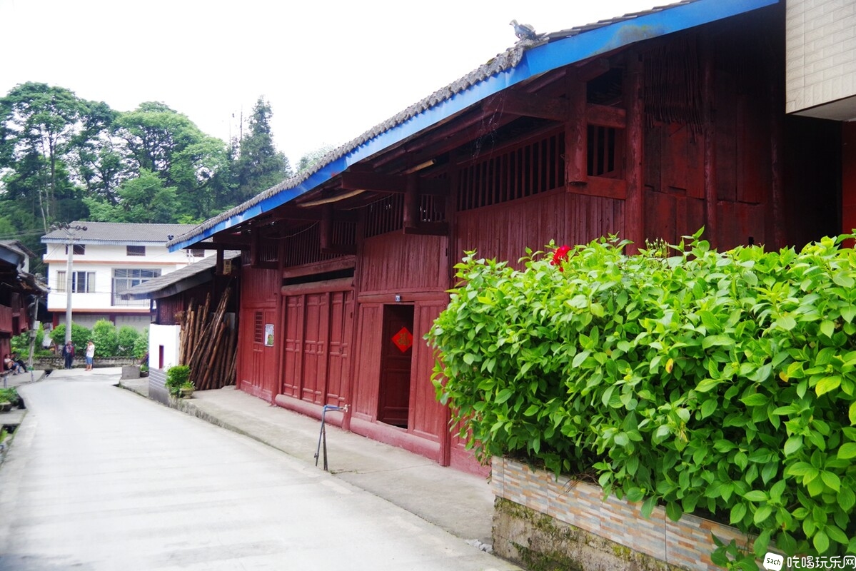 IMGP7993_副本.jpg