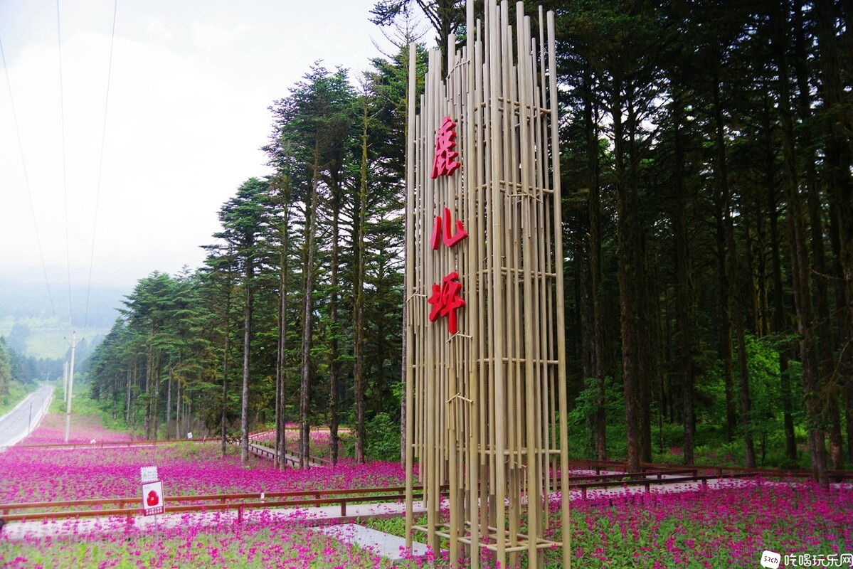 IMGP8031_副本.jpg