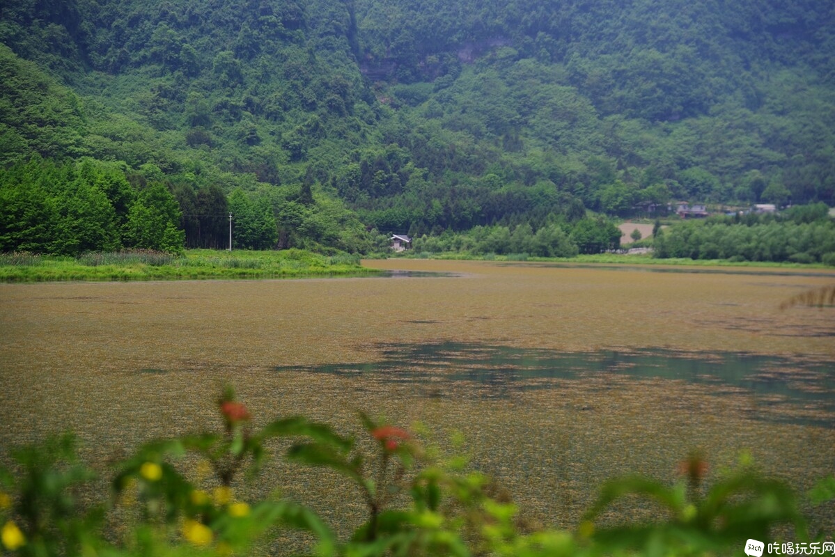 IMGP8481_副本.jpg